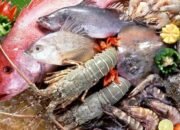 Perbedaan Tekanan Harga, PPU Diuntungkan Panen dan Hasil Laut Sementara Balikpapan Menguatkan Sektor Konsumsi