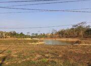 Air Menipis Saat Kemarau, DPRD PPU Dorong Irigasi Jadi Prioritas Pertanian